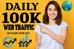 Traffic Views